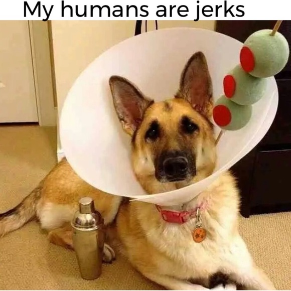 Comments Full! Please ❤️ New Listing! - Picture 3 of 16